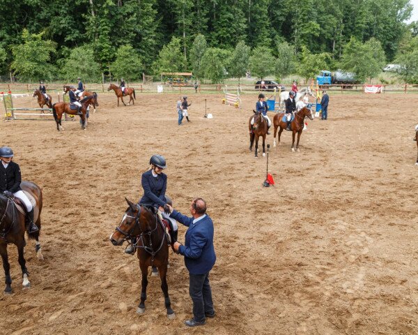 INDOOR EQUESTRIAN ARENA