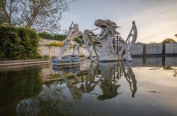 _MG_9229-Enhanced-NR