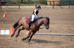 Nyírbátori Lovas Sport és Hagyományőrző Egyesület1