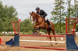 Nyírbátori Lovas Sport3